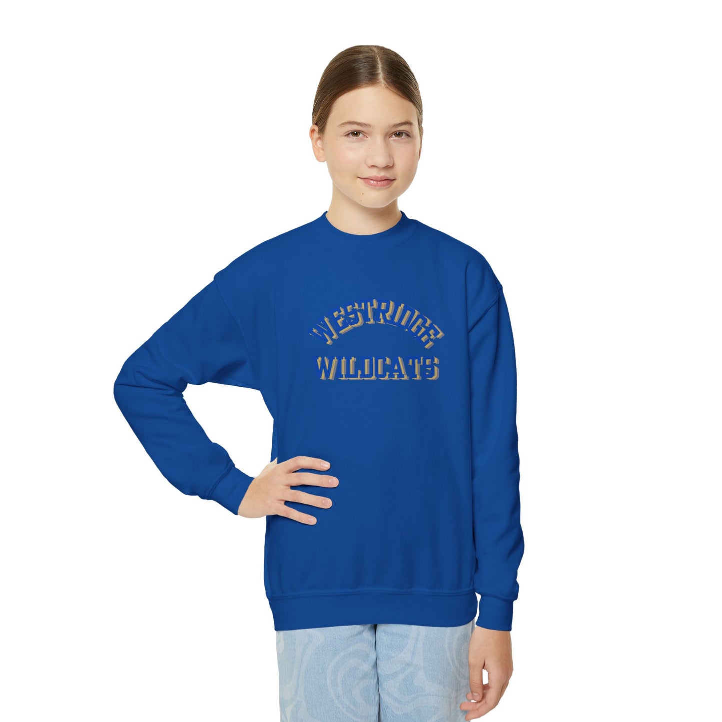 Kids Unisex Crewneck Sweatshirt (Blue/Yellow Curved Print)