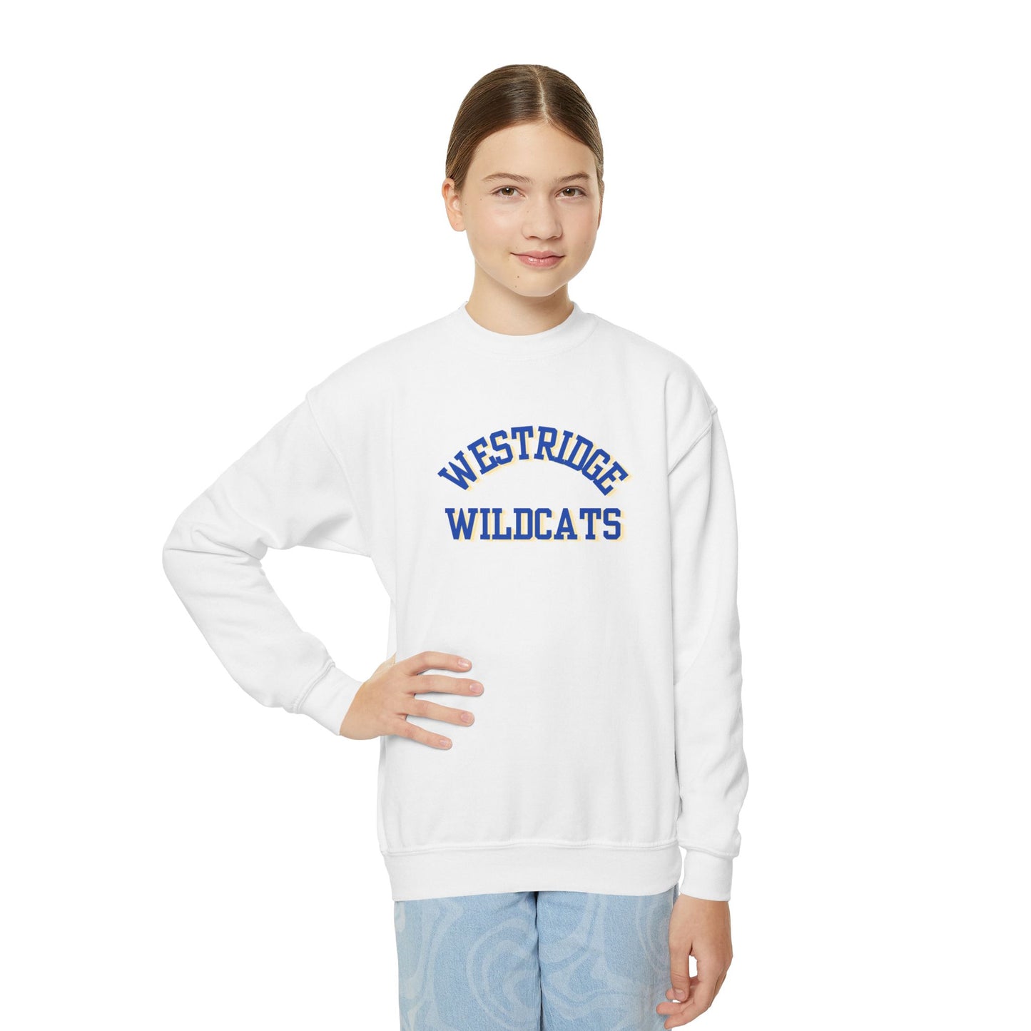 Kids Unisex Crewneck Sweatshirt (Blue/Yellow Curved Print)