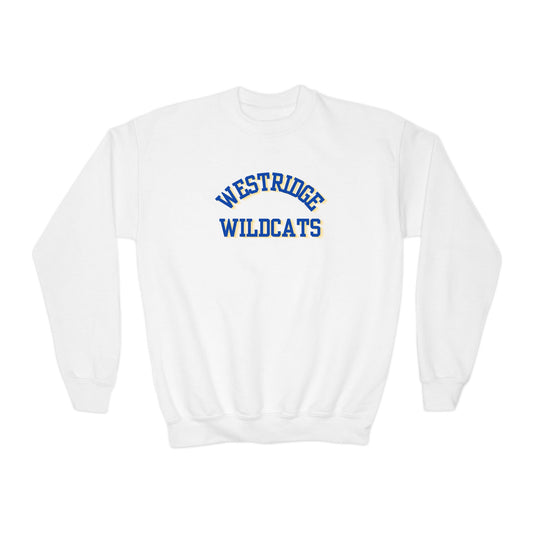 Kids Unisex Crewneck Sweatshirt (Blue/Yellow Curved Print)